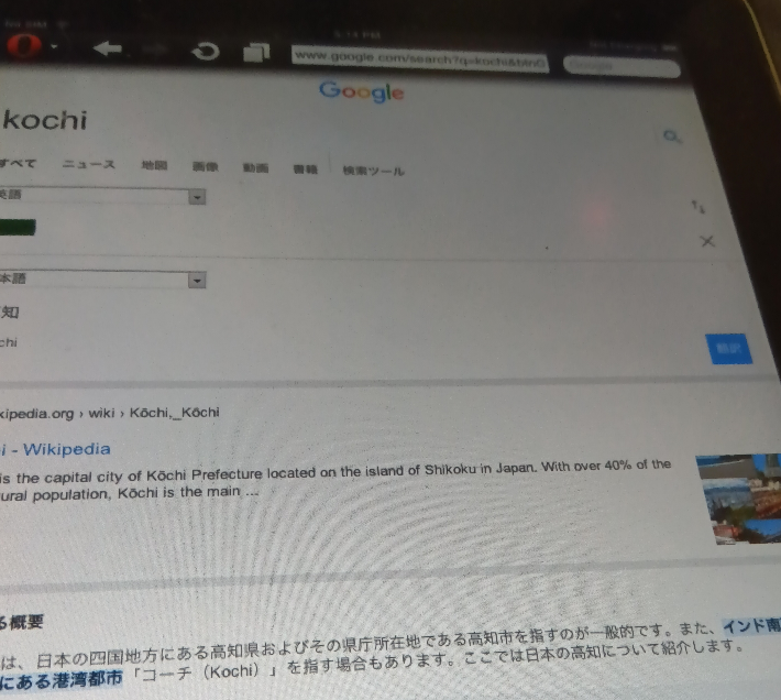 Opera MiniでのGoogle検索画面